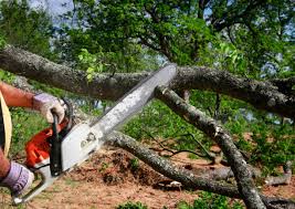 Best Lot and Land Clearing  in Richmond, CA